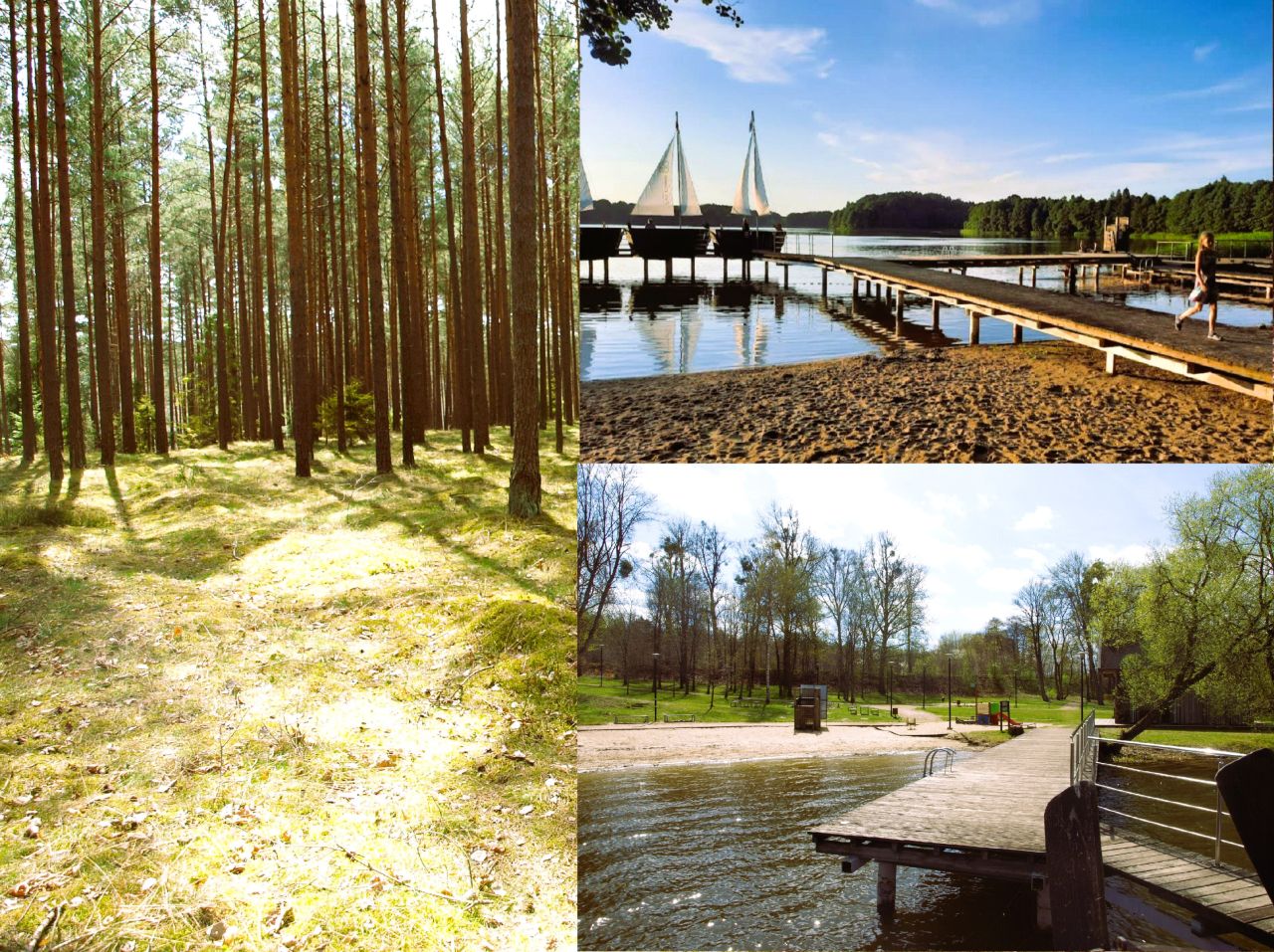 Działka rekreacyjna Lipy. Zdjęcie 18