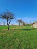 Działka rolno-budowlana Mianowo. Zdjęcie 3