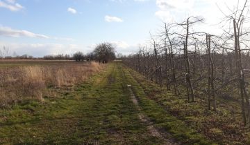 Działka rolno-budowlana Ciszyca
