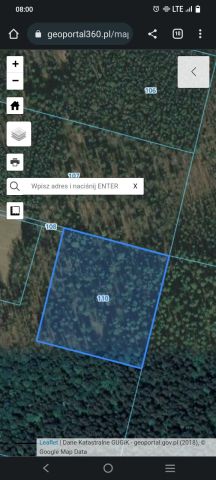 Działka leśna Jezierzysk. Zdjęcie 1