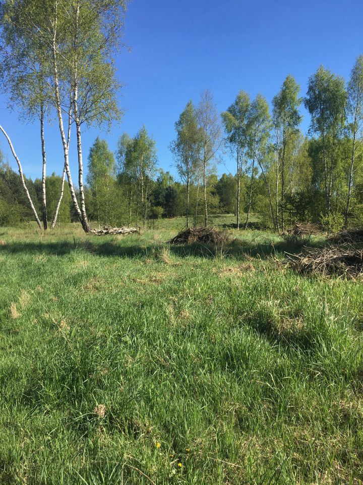 Działka budowlana Graniczna Wieś Pruska Karczma, ul. Jarzębinowa. Zdjęcie 19