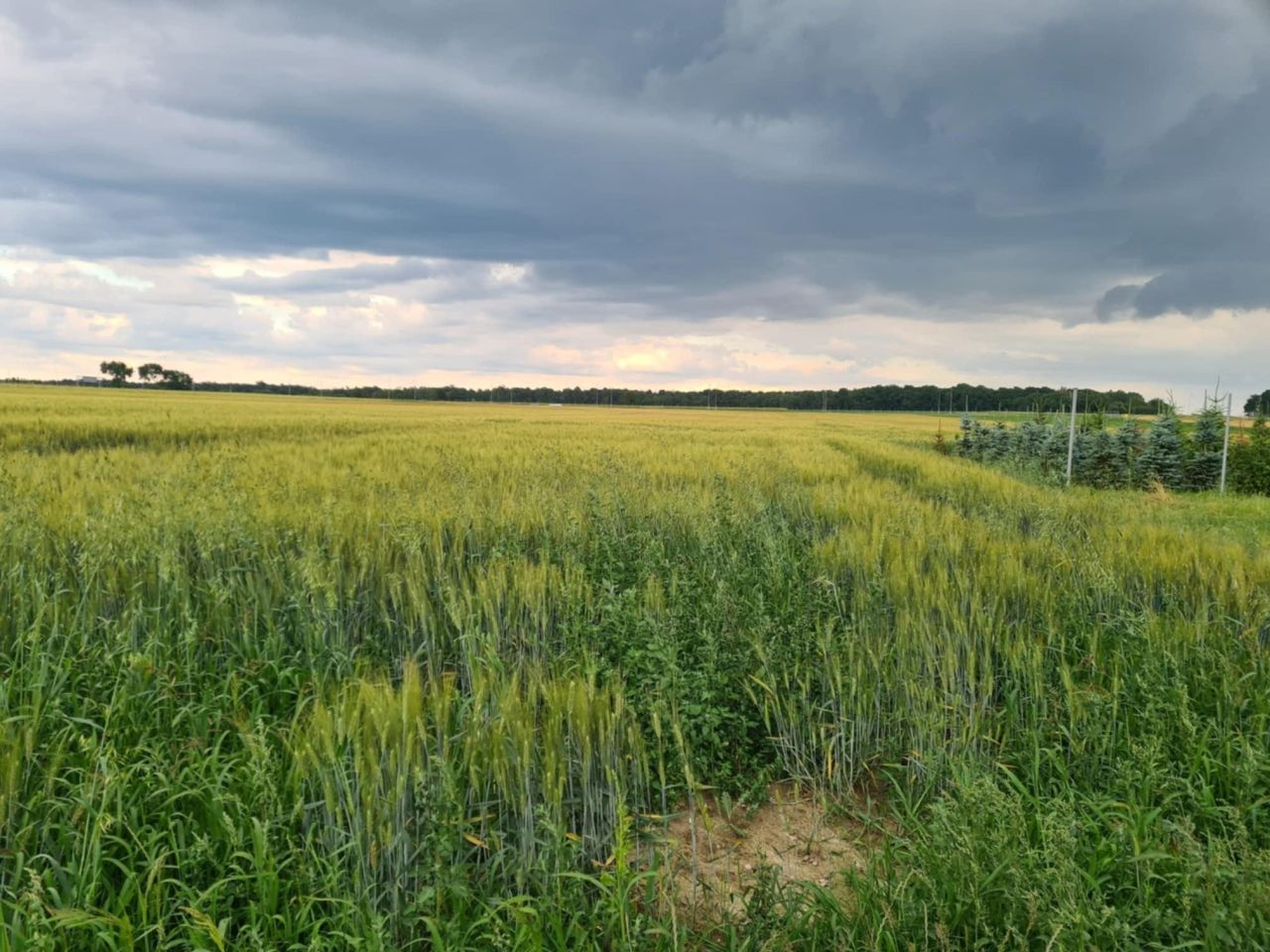 Działka budowlana Sobieszczany-Kolonia