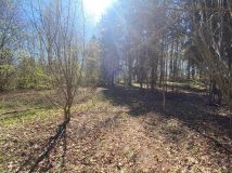 Działka rekreacyjna Dąbrowa. Zdjęcie 2