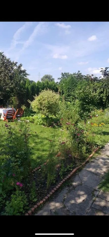 Działka rod Tychy. Zdjęcie 3