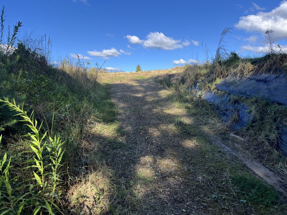 Działka budowlana Woźniki. Zdjęcie 6