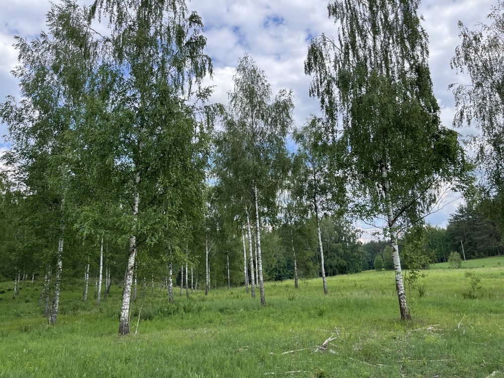 Działka rolna Lipowo Kurkowskie. Zdjęcie 6