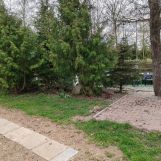 gospodarstwo, 5 pokoi Stabieńszczyzna. Zdjęcie 4