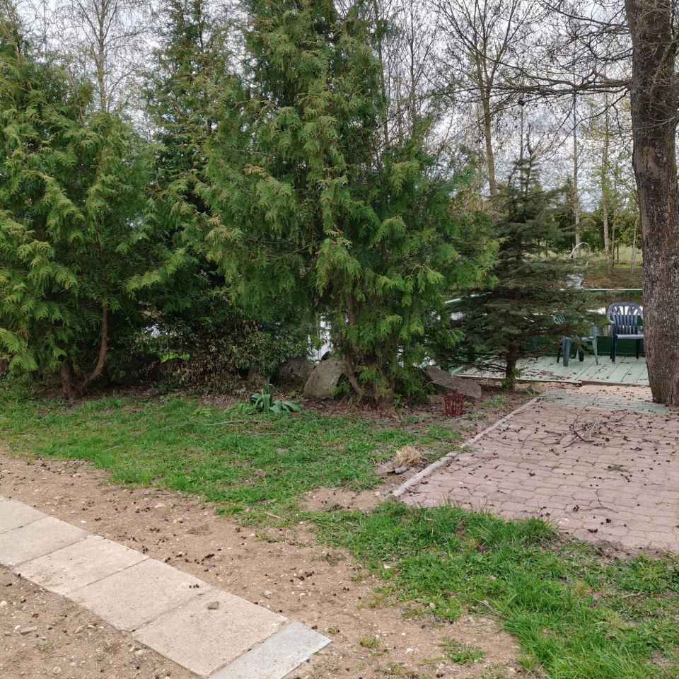 gospodarstwo, 5 pokoi Stabieńszczyzna. Zdjęcie 5