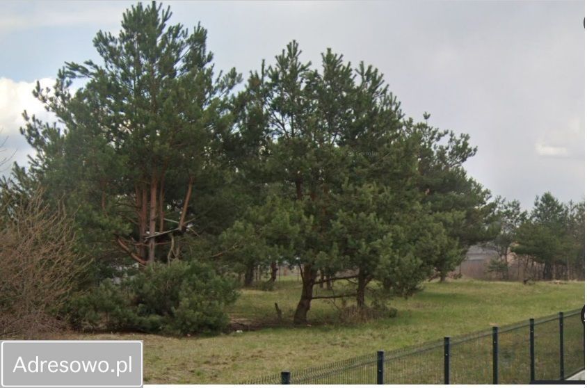 Działka budowlana Sarzyna. Zdjęcie 9