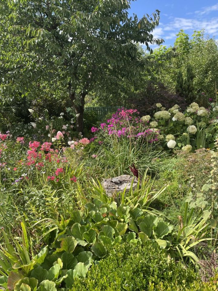 Działka rod Złotów. Zdjęcie 2