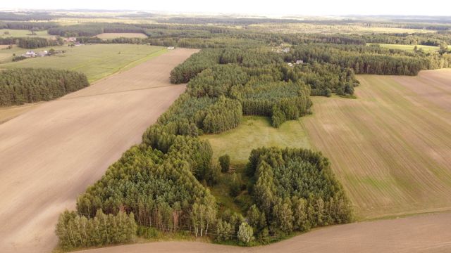 Działka siedliskowa Jeleń. Zdjęcie 1