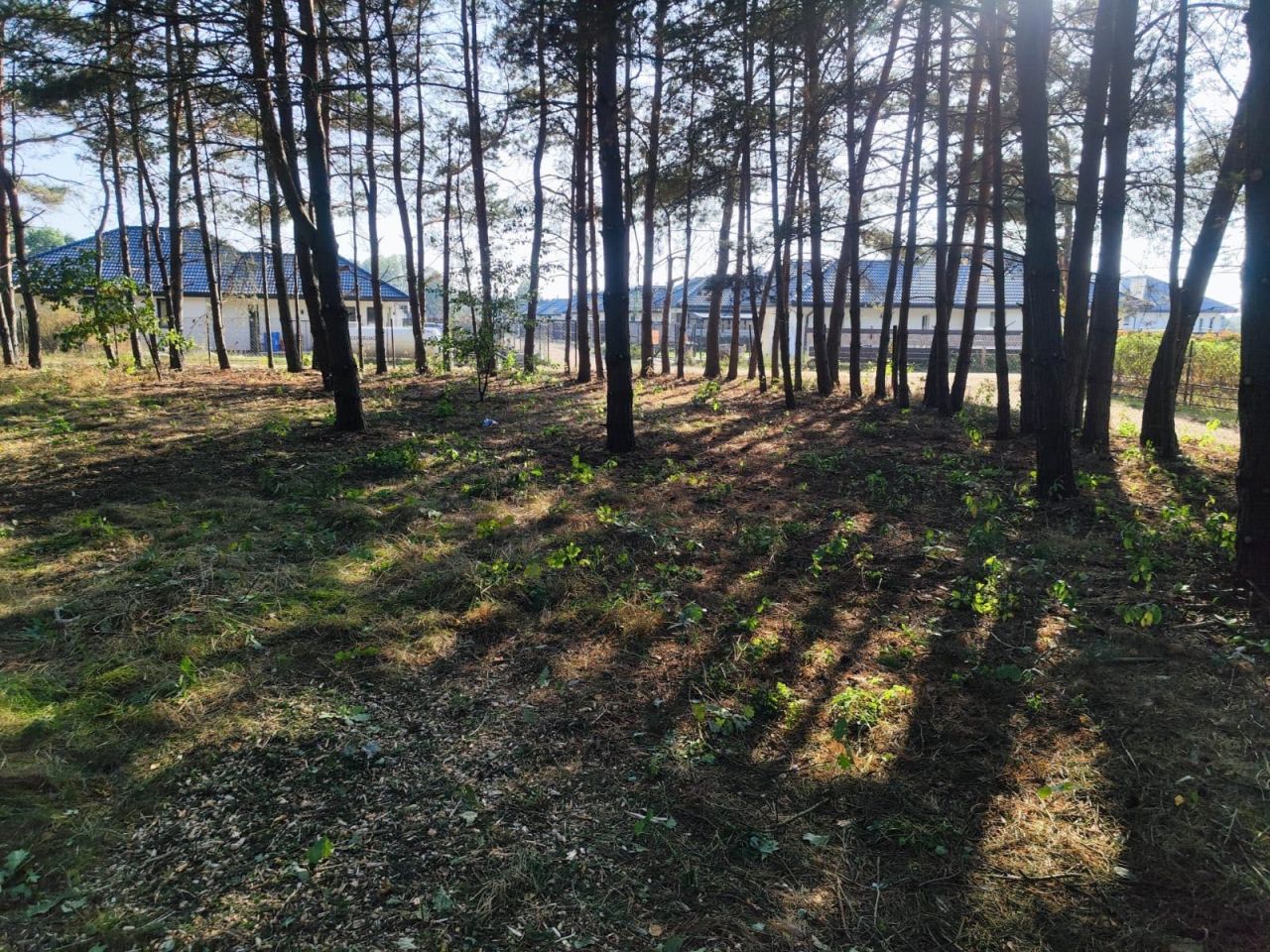 Działka budowlana Skrzeszew, ul. Janiny. Zdjęcie 7