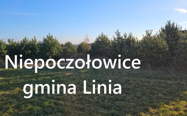 Działka budowlana Niepoczołowice. Zdjęcie 1