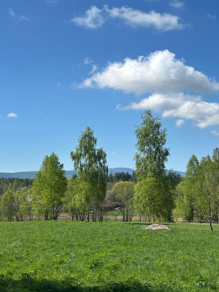 Działka rolno-budowlana Gajówka. Zdjęcie 8