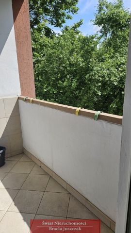 Mieszkanie 4-pokojowe Wrocław Borek. Zdjęcie 3