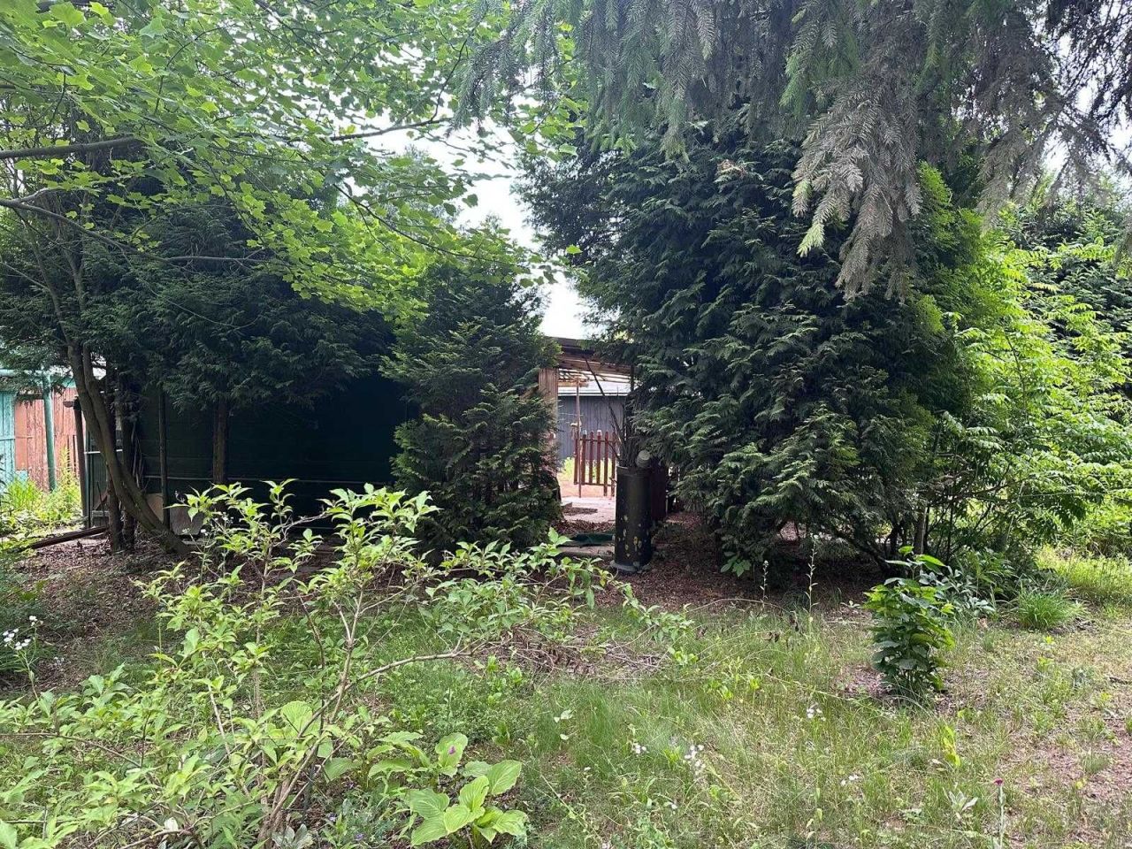 Działka rod Warszawa Siekierki. Zdjęcie 5