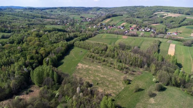 Działka rolna Laskówka. Zdjęcie 17