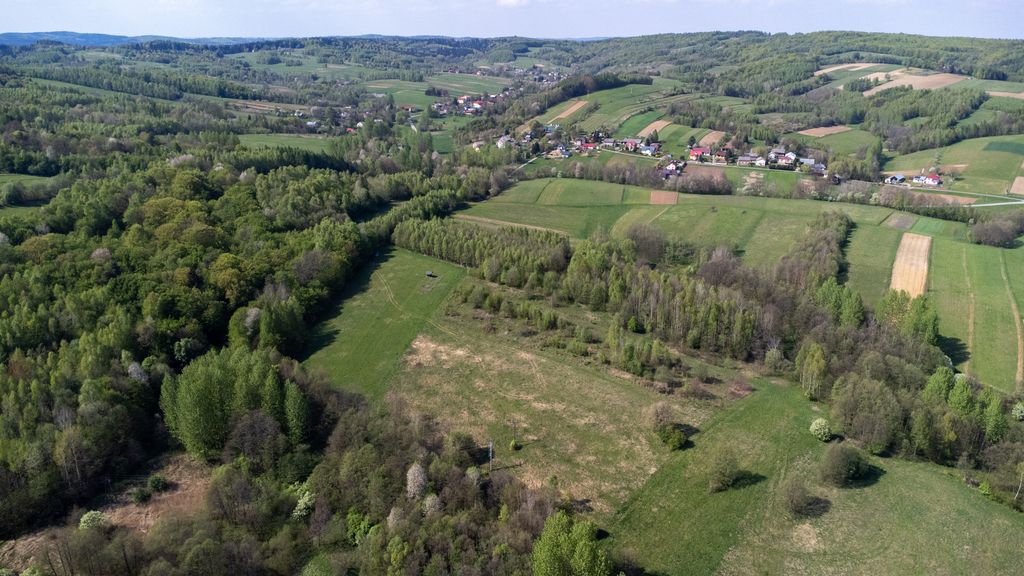 Działka rolna Laskówka. Zdjęcie 17