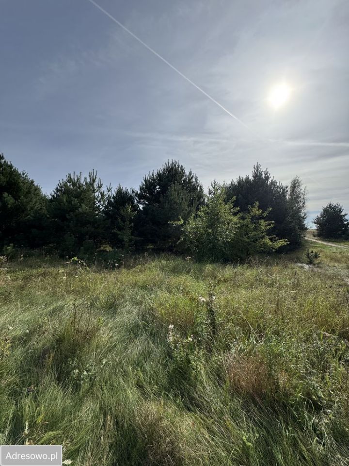 Działka budowlana Małe Łąkie, ul. os. Sosnowe. Zdjęcie 8
