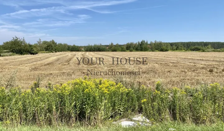Działka budowlana Miłoszyce
