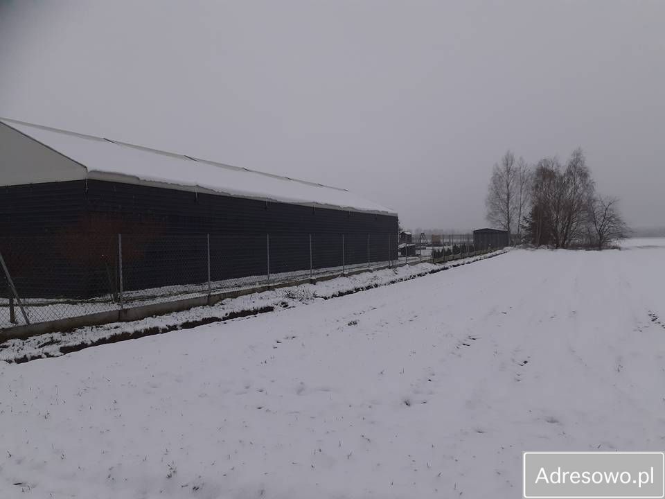 Hala/magazyn Międzyrzec Podlaski, ul. Jelnicka. Zdjęcie 3