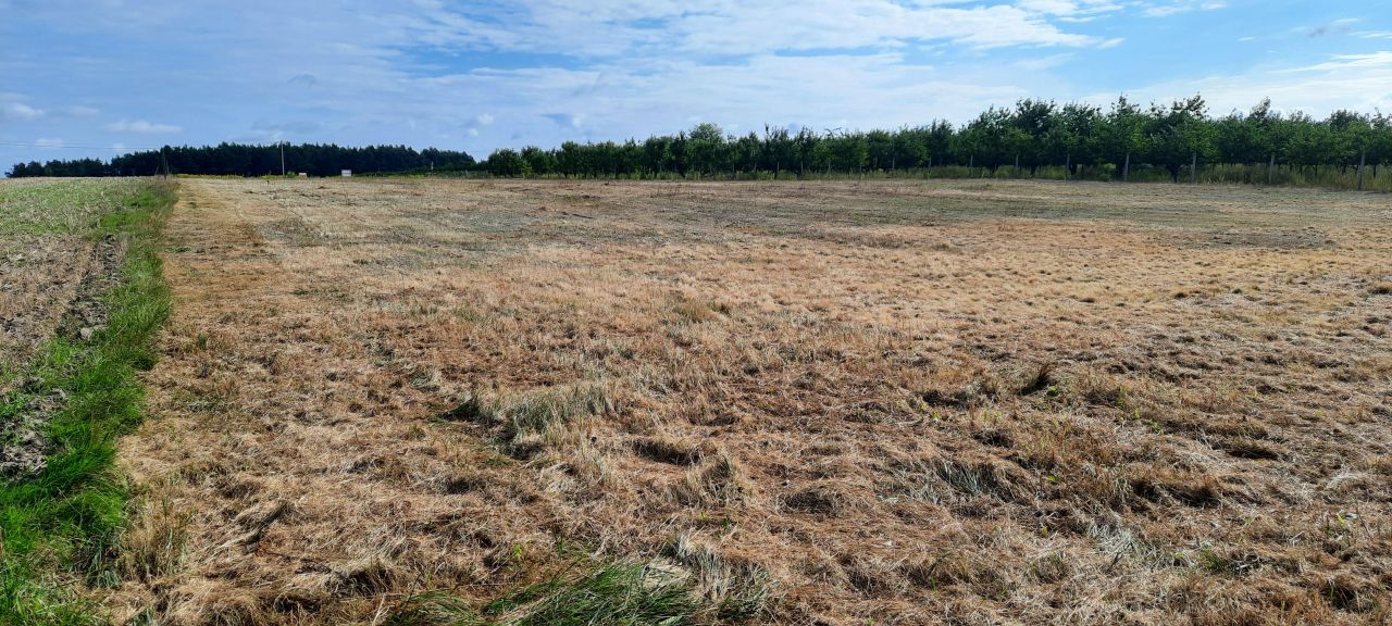 Działka budowlana Przypki, ul. Leśna. Zdjęcie 4