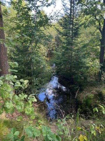 Działka siedliskowa Łomnica, ul. Karpnicka. Zdjęcie 7