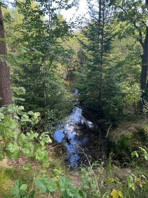 Działka siedliskowa Łomnica, ul. Karpnicka. Zdjęcie 7