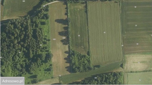 Działka rolna Sędziszowice. Zdjęcie 1