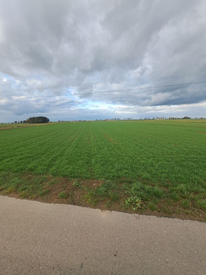 Działka budowlana Celinowo. Zdjęcie 5