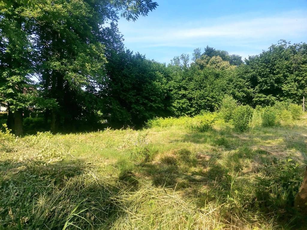 Działka siedliskowa Przystawy. Zdjęcie 6