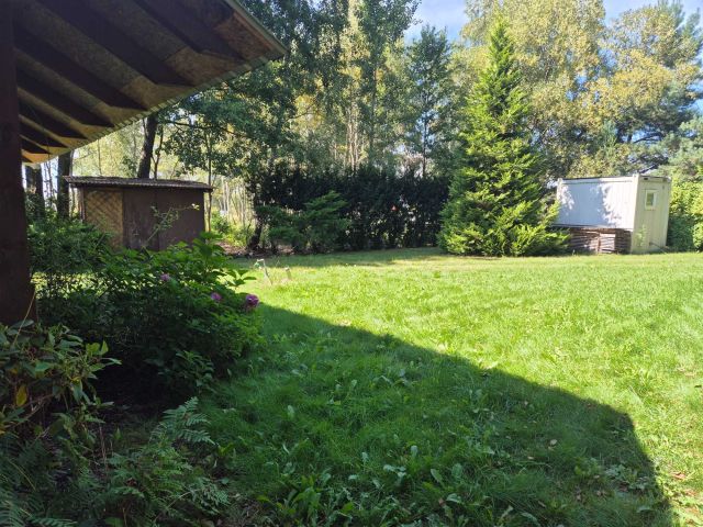 Działka Białe. Zdjęcie 1