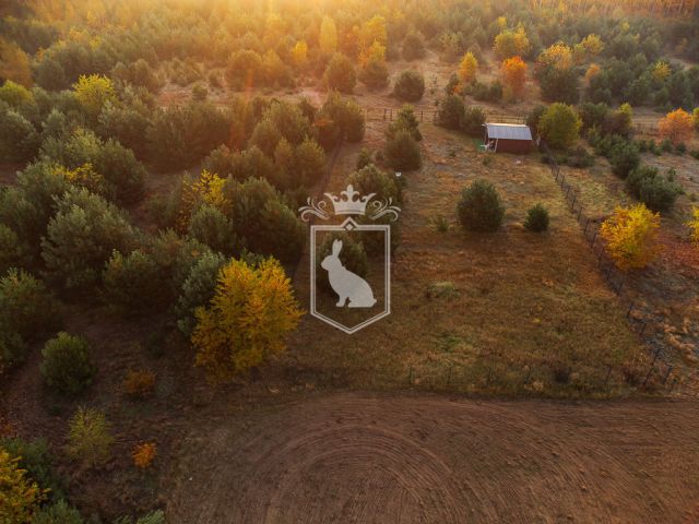 Działka budowlana Gnojno. Zdjęcie 8