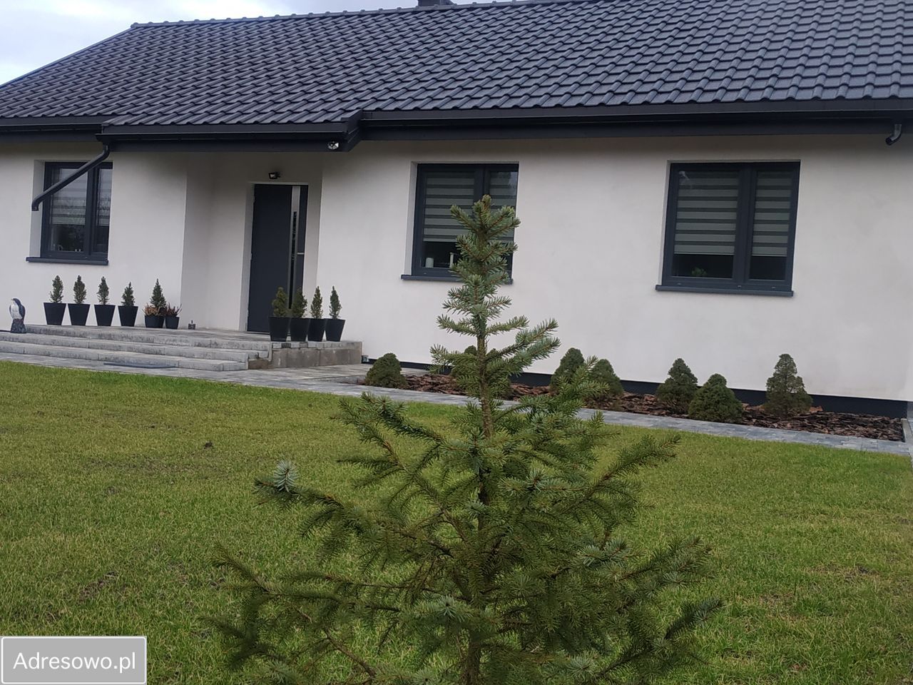 dom wolnostojący, 4 pokoje Cierpice