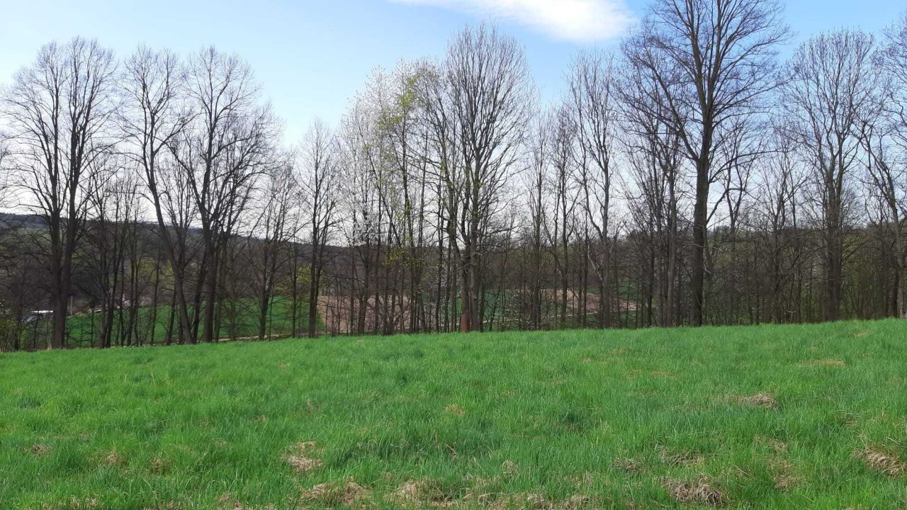 Działka budowlana Miłoszów. Zdjęcie 4