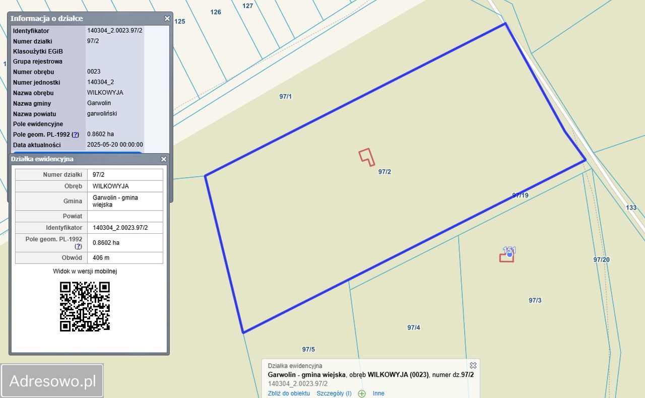 Działka leśna Wilkowyja. Zdjęcie 2