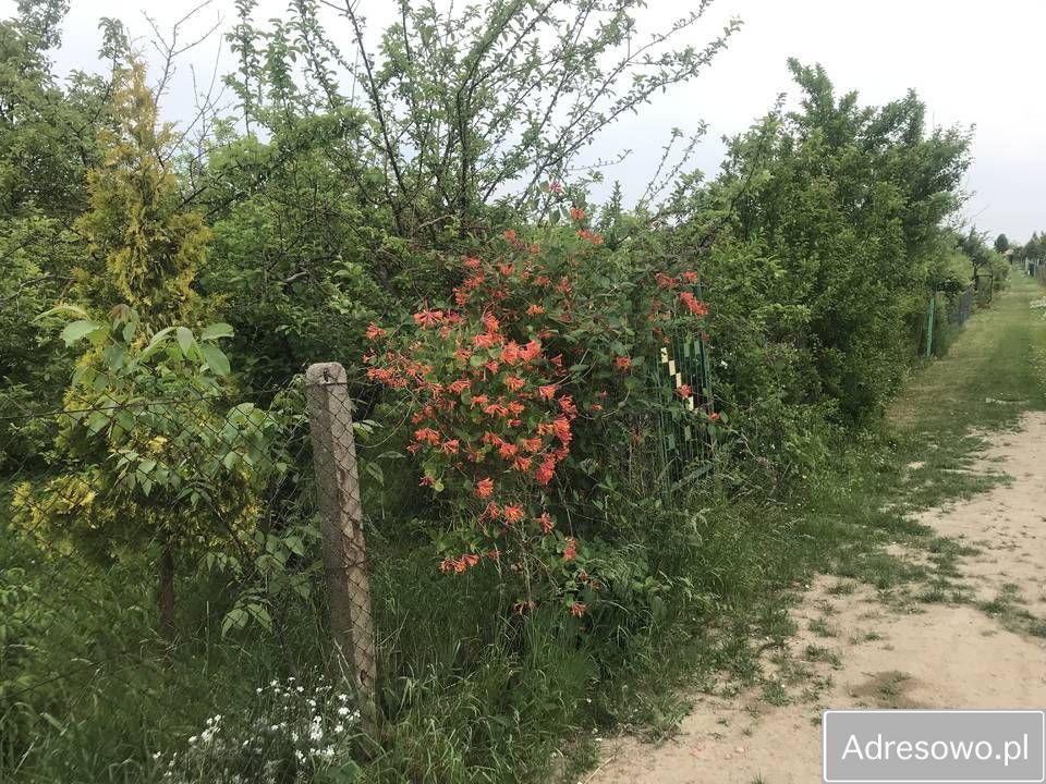 Działka rod Tczew Czyżykowo, ul. Bałdowska. Zdjęcie 8