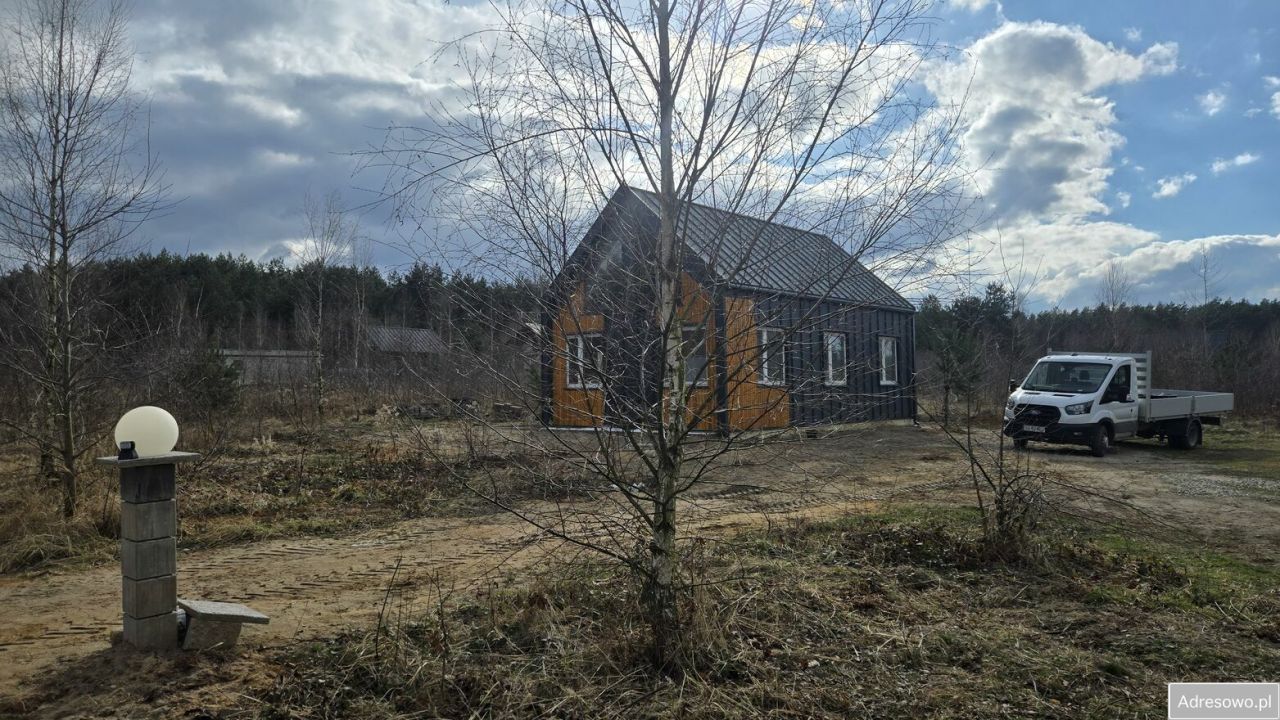 Działka Leśna. Zdjęcie 6