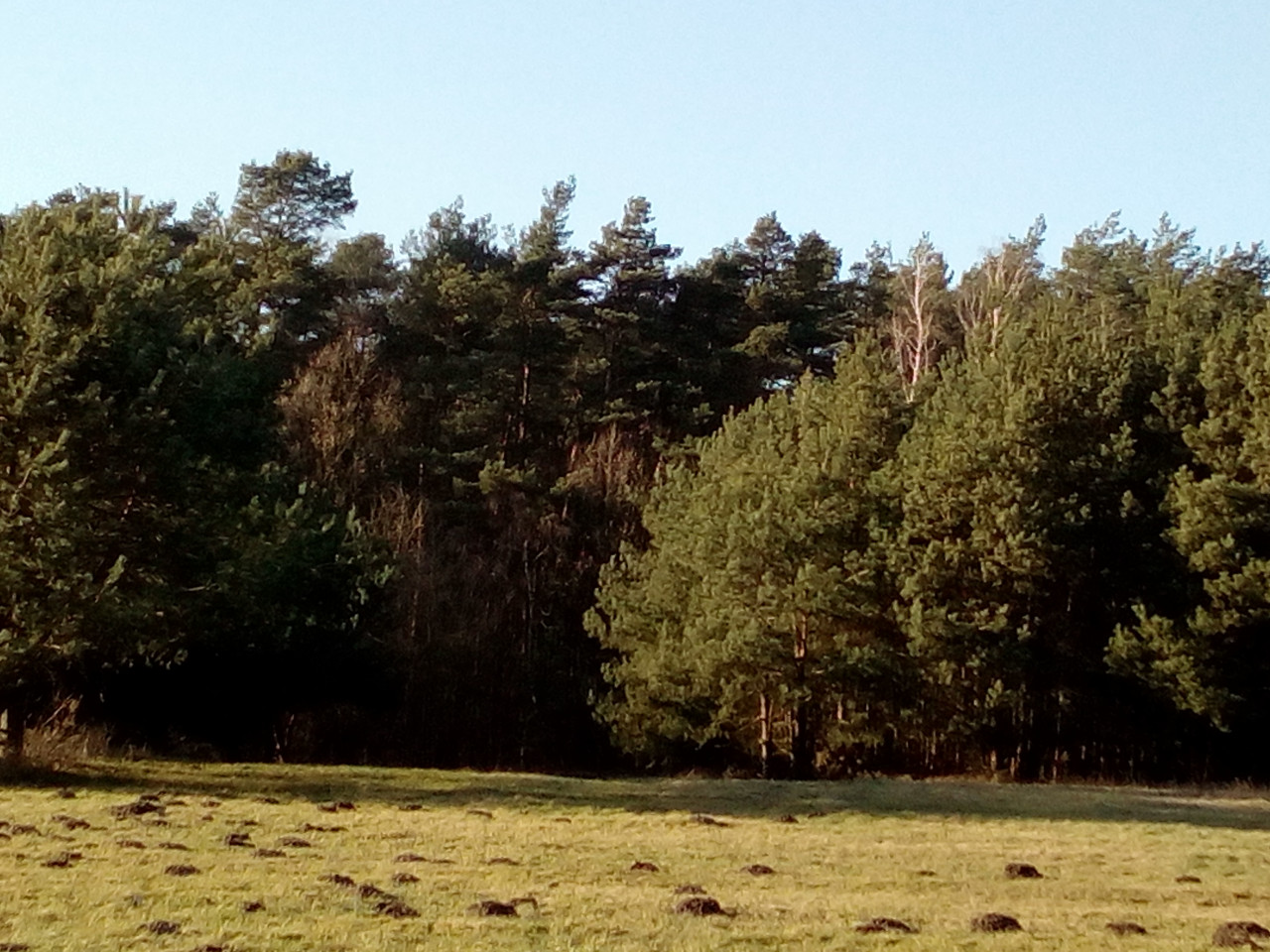 Działka budowlana Wronowice Kliny