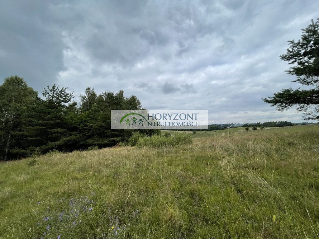 Działka Nowa Wieś Przywidzka. Zdjęcie 7