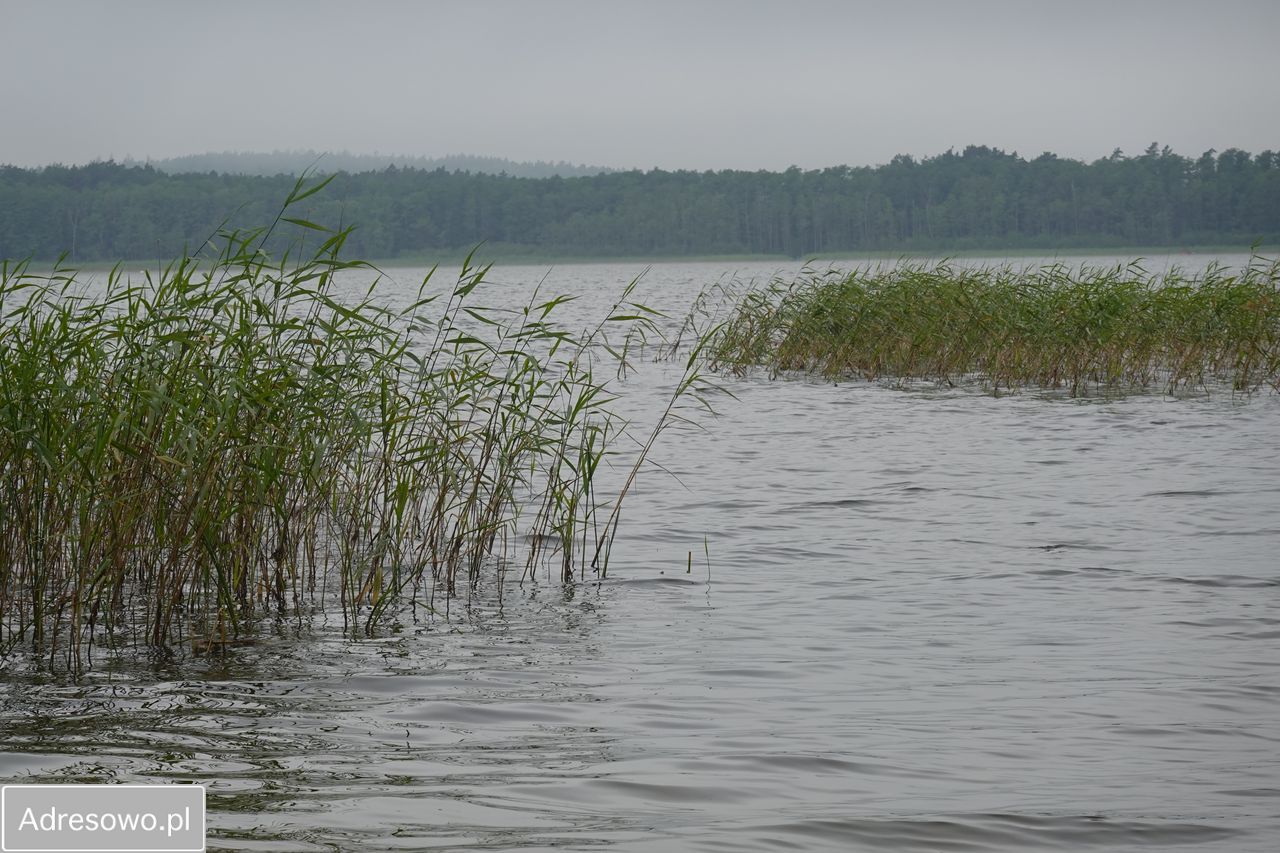 Działka budowlana Starbienino. Zdjęcie 8