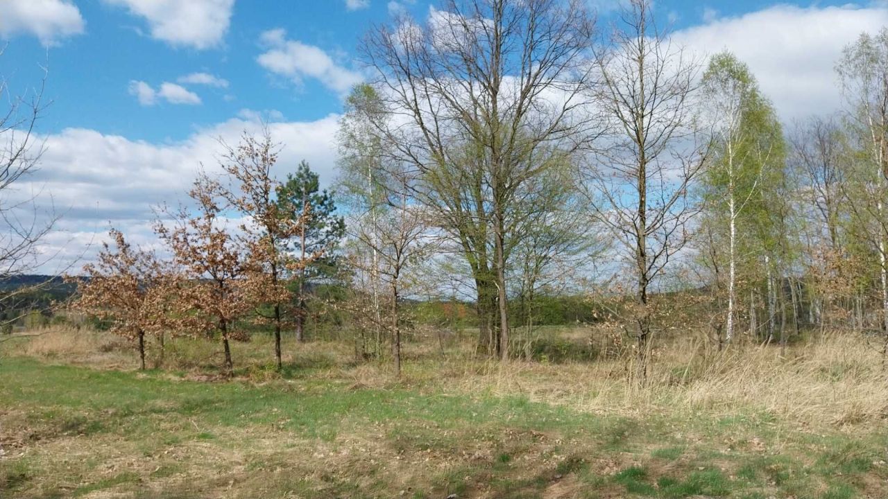 Działka rolno-budowlana Święta Katarzyna. Zdjęcie 6