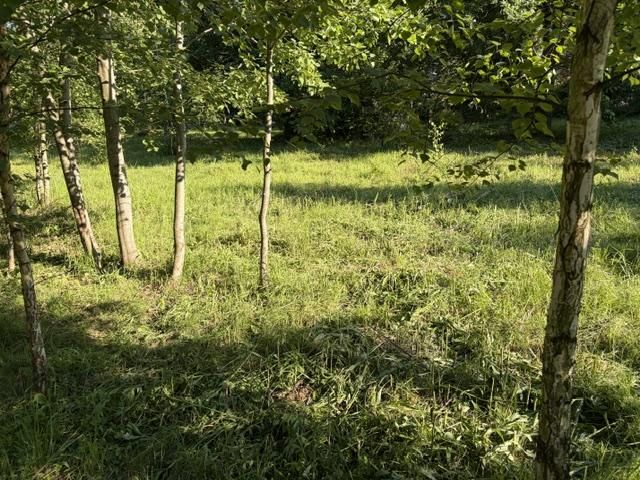 Działka budowlana Łęki, Łęki. Zdjęcie 3