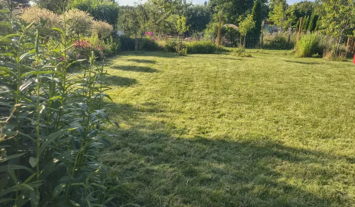 Działka rod Gdańsk Olszynka, ul. Olsztyńska
