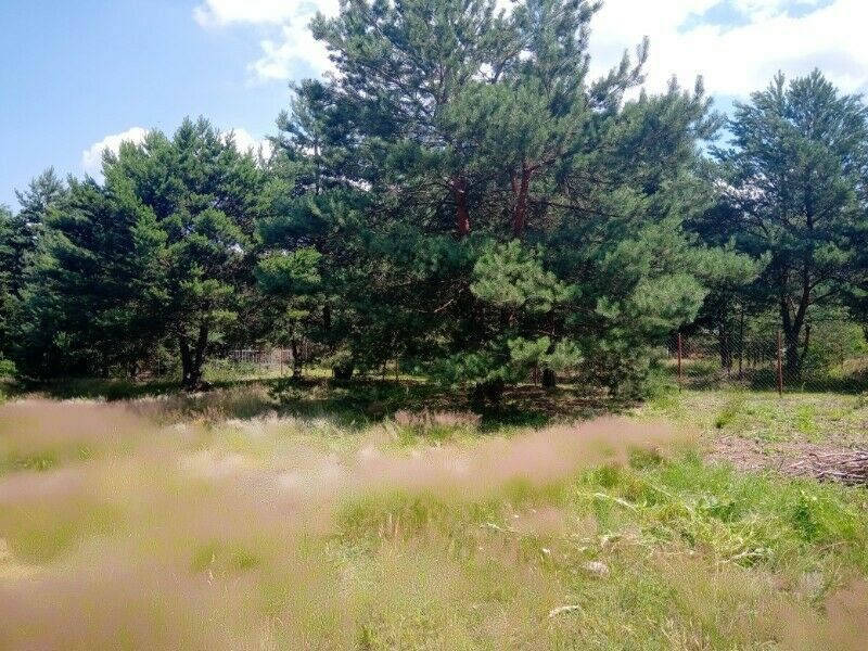 Działka budowlana Cieszanowice. Zdjęcie 5