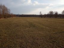 Działka rolno-budowlana Stare Polesie. Zdjęcie 1