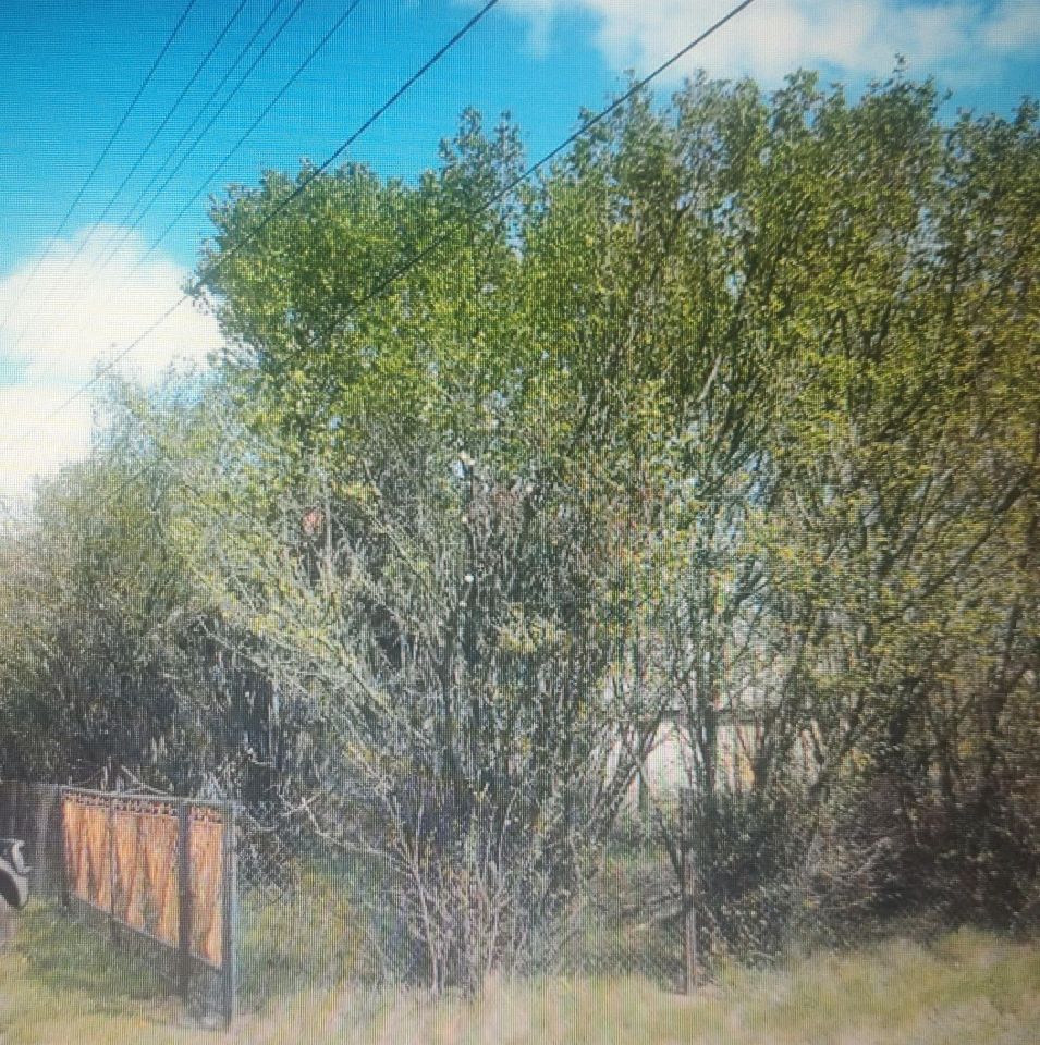 Działka rolno-budowlana Damiany. Zdjęcie 6