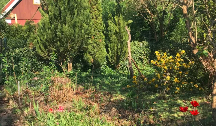 Działka rod Warszawa Włochy