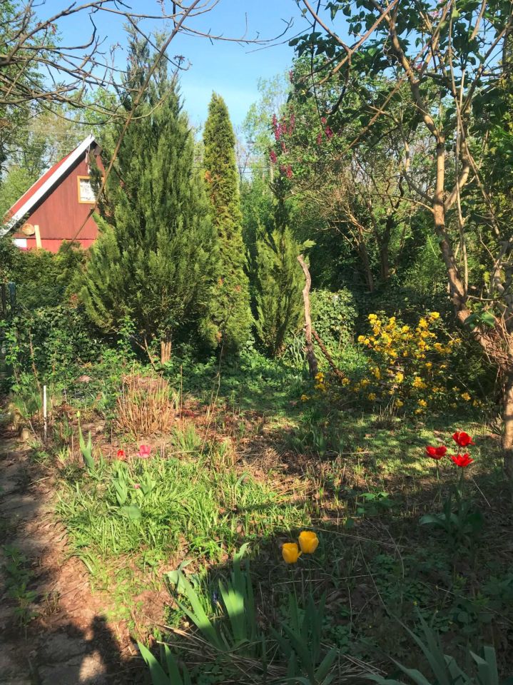 Działka rod Warszawa Włochy