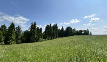 Działka rolna Łapsze Niżne Za Czarną Górą, Ostra Góra